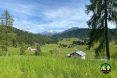 Feltre-bike-tour-Il-Grifone-di-Martalar_4