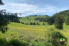 Feltre-bike-tour-Il-Grifone-di-Martalar_6