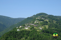 Senzanome