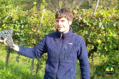Cantina_TerreDiGaia