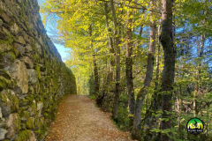 caldonazzo9