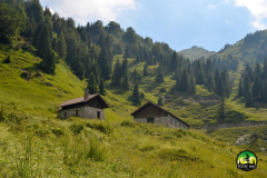 Malga-Cason-dei-Lebi