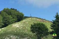 Cima_Monte_Tomatico