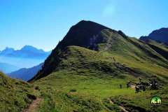 Forcella_veneggiotta_2