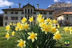 Villa-Zugni-Tauro